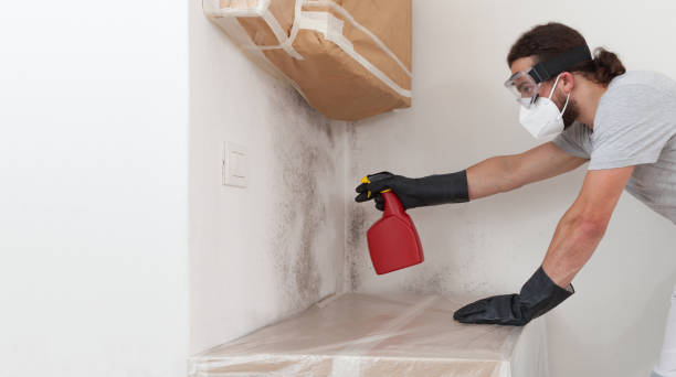 Professional Commercial Mold Remediation technician working in Leonia, NJ